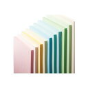 長門屋商店 Color Paper B4 中厚口 若草 ナ-2206 1冊(100枚) 自然の息吹を感じる、大判の中厚口カラーペーパー 豊かな緑の若草色が心を癒...
