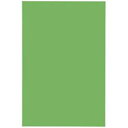 (業務用10セット) ジョインテックス マグネットシート 【ワイド/ツヤ有り】 ホワイトボード用マーカー可 緑 B210J-G 白 ビジネスに彩りを添えるカラー...