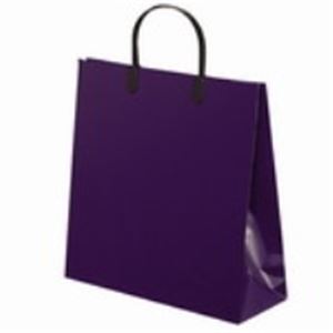 （まとめ）東京ユニオン ラミネートバッグ 013 中 紺 5枚 【×8セット】 ビジネスにお得なセット ラミネートバッグ013中、紺色5枚セット×8 包装や事務に最適なショッピングバッグ