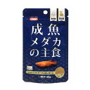 (まとめ)成魚メダカの主食 40g 川魚用フード 【×10セット】 成魚用のメダカに最適な食事 川魚専用の40gフードがセットでお得に 成長をサポートする主食を...