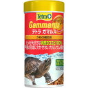 (まとめ)テトラ ガマルス 25g 爬虫類・両生類フード 【×2セット】 爬虫類や両生類のための栄養補助食品、テトラ ガマルス25gを2セットお得にまとめてご提...