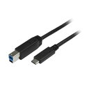 StarTech.com USBケーブル 配線 USB3.0準拠 2m タイプC(オス)-B(オス) ブラック USB315CB2M1本 黒 USB3.0規格に対応した2メートルのUSBケーブル タイプCオスからBオスへの接続で、ブラックカラーがスタイリッシュ 高速データ転送が可能で、便利な1本であなたのデバイス(2)