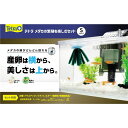 メダカの繁殖を楽しむセット S (観賞魚用品/水槽用品) 水中の美と繁殖の喜びを一度に味わえる、革新的なメダカ飼育セットS