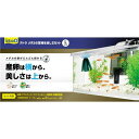 メダカの繁殖を楽しむセット L (観賞魚用品/水槽用品) 水中の美しさと産卵の喜びを一度に味わえる、メダカ繁殖の楽しみが広がる水槽セット L