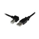 (まとめ) StarTech.com USB2.0ケーブル 配線 1m Type A(オス)-B(オス)L型左向き ブラック USBAB1ML1本 【×3セット】 黒 左向きのL型USB2.0ケーブル、1mの長さで、Type AオスからType Bオスへの接続が可能 ブラックカラーでスタイリッシュなデザイン 3本セットでお得