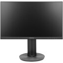 プリンストン 液晶ディスプレイ23.8型/1920×1080/DisplayPort、HDMI、アナログRGB/ブラック/スピーカー:あり/マルチアングル対応/...
