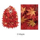 HAM−15絞りバッグ Maple 自在に変幻するエコバッグ マジックリボンで作る折りたたみ不要のバッグ メイプル(4)