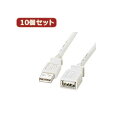 10個セット USB延長ケーブル 配線 KB-USB-E2K2 KB-USB-E2K2X10 長さ2mのUSB延長ケーブル 配線 を10個セットでお届け 快適な...