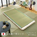 日本製 国産 い草 藺草 シーツ/寝ござ 【アイボリー シングル88×180cm】 抗菌 清潔 防臭 調湿 熊本県八代産い草 使用 〔ベッドルーム 寝室〕 乳白...