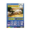 (まとめ) ペーパークラフト専用紙 EJK-HC2WN【×10セット】 クリエイティブなオフィス 事務用 環境を演出する、高品質なインクジェット用紙 ペーパーク...