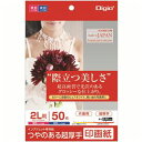 (まとめ) Digio2 インクジェットプリンタ用紙 印画紙タイプ 2L/50枚 JPSK2-2L-50【×5セット】 輝く白さで思い出の写真を彩る、プレミアム...