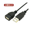 変換名人 10個セット 極細USBケーブル 配線 Aオス-Aメス 1m USB2A-AB/CA100X10 超薄型USBケーブル 配線 Aオス-Aメス 1m 変...