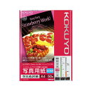 (まとめ) コクヨ インクジェットプリンター用 写真用紙 セミ光沢紙 A4 KJ-J14A4-50 1冊(50枚) 【×4セット】 美しい写真を手軽に印刷 高品...
