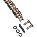 江沼チェーン (EKチェーン) 520SR-X2 (BK/GP) 110L MLJ 速さと耐久性を兼ね備えた革新的なチェーン 黒とゴールドの美しいデザインが魅力...