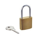 (まとめ) セキュリティロック用南京錠 ESL-NK 1個 【×10セット】 エレコムのセキュリティロック用南京錠が10個セットでお得に パソコンアクセサリーの...