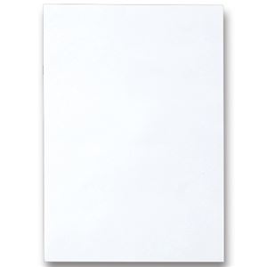 (まとめ) TANOSEE 色画用紙 八つ切 ゆき 1パック(10枚) 【×30セット】 色彩の舞台で、創造力を解き放て 魅惑のノート・ふせん・紙製品セット アーティストの心を揺さぶる、夢の八つ切りゆき 1パック(10枚)×30セット