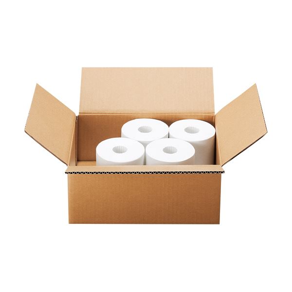 （まとめ）TANOSEE 無地ダンボール箱 A4（SS）サイズ 軽量タイプ 高さ125mm 1パック（10枚） 【×5セット】 便利な組み立て式のオリジナル梱包用ダンボール箱 持ち運びや保存に最適 TANOSEEが贈る無地ダンボール箱A4（SS）サイズ、軽量タイプ、高さ125mm 1パック（10枚）×