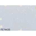 光る壁紙 蓄光 のり無し 壁紙 FE74435 93cm巾 5m巻 日本製 国産 ウォールペーパー インテリア雑貨 リフォーム 幻想的な空間を演出する光る壁紙、...