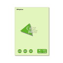 (まとめ) 長門屋商店 Color Paper A3 厚口 若草 ナ-1306 1冊(100枚) 【×10セット】 美しい色彩が広がる A3サイズの厚手カラーペ...