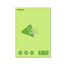(まとめ) 長門屋商店 Color Paper A3 厚口 うぐいす ナ-1308 1冊(100枚) 【×10セット】 美しい色彩が広がる A3サイズの厚手カラ...