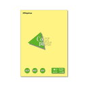 (まとめ) 長門屋商店 Color Paper A3 厚口 クリーム ナ-1303 1冊(100枚) 【×10セット】 クリーム色の厚紙でまとめたA3サイズのカ...