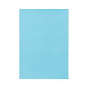 (まとめ) TANOSEE 色画用紙 四つ切 みずいろ 1パック(10枚) 【×30セット】 色彩溢れる創造力の源泉 驚きの30パック みずいろの魔法が広がる、...