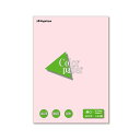 (まとめ) 長門屋商店 Color Paper A3 厚口 さくら ナ-1319 1冊(100枚) 【×10セット】 桜舞う、A3サイズの厚紙100枚 カラーペ...
