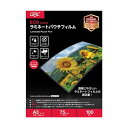 (まとめ)アコ・ブランズ ECOパウチフィルムA3 75μ YV075A3Z 1パック(100枚)【×5セット】 ツヤと静電気を抑制する、ベーシックながらも高品...