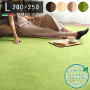 ラグマット じゅうたん カーペット 敷き物 絨毯 Lサイズ 200×250cm グリーン 洗える ウォッシャブル 高密度フランネルマイクロファイバー 最高の手触り 不織布 防滑加工 リビング 緑 洗える高密度フランネルマイクロファイバーで作られた、滑りにくくてウォッシャブルなL(3)