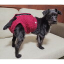 マナーおむつ用カバーパンツ SSS ピンク 可愛らしいボトムス風犬用おむつカバー ズレ知らずのおむつマナーSサイズピンク
