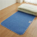 【西川】 ベッド・布団用 除湿シート 【ダブル】 約130×180cm シリカゲル 吸湿センサー付き サラネル 〔ベッドルーム 寝室〕 快適な眠りを実現 湿気や...