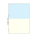 TANOSEEマルチプリンタ帳票(FSC森林認証紙) A4カラー 2面 1箱(500枚) 便利なFSC森林認証紙を使用したカラーマルチプリンタ帳票 TANOSE...