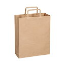 TANOSEE 紙手提袋 平紐 小ヨコ260×タテ320×マチ幅100mm 茶無地 1セット(300枚:50枚×6パック) 日本製の安心な紙製手提げ袋 便利な平...