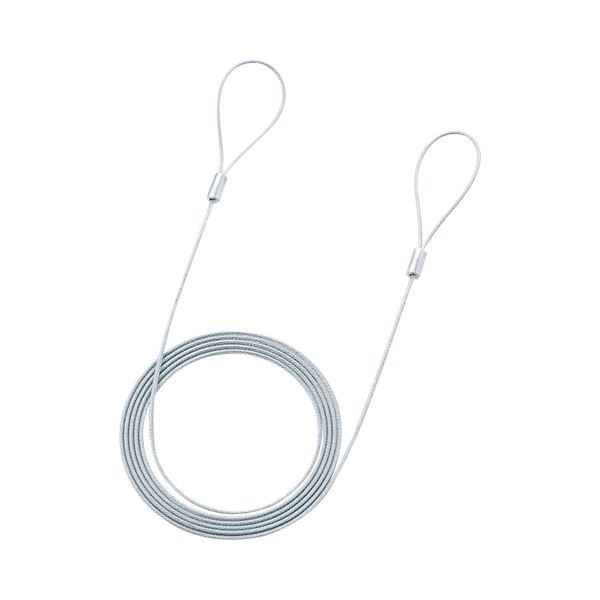 (まとめ) eセキュリティ ワイヤー2.2mm×2.0m SLE-11W-2 1本 【×30セット】 高い耐久性 頑丈 なセキュリティを提供する2.2mm×2.0mのワイヤー30本セット 安心 安全 のeセキュリティ長さと太さで、あらゆる場所での防犯対策に最適 強力な保護をお求めの方におすすめ