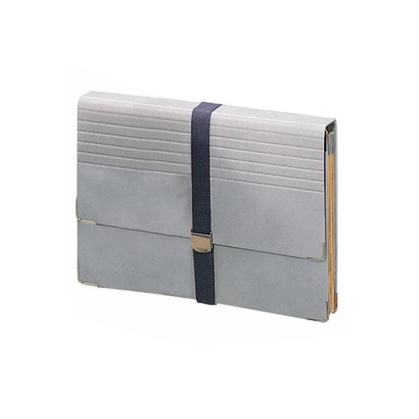 (まとめ）ライオン事務器 ドキュメントファイルA4 12ポケット DC-411N 1冊【×3セット】 スムーズな書類..