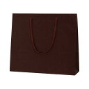 (まとめ) シモジマ カラーチャームバッグ 3才 ブラウン 10枚入【×5セット】 茶 穏やかなトーンの無地シリーズ 魅力的なカラーチャームバッグで3歳児を包み...