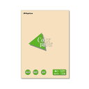 (まとめ) 長門屋商店 Color Paper B4 厚口 アイボリー ナ-2315 1冊(100枚) 【×10セット】 乳白色 美しさを纏う、B4サイズの厚口...