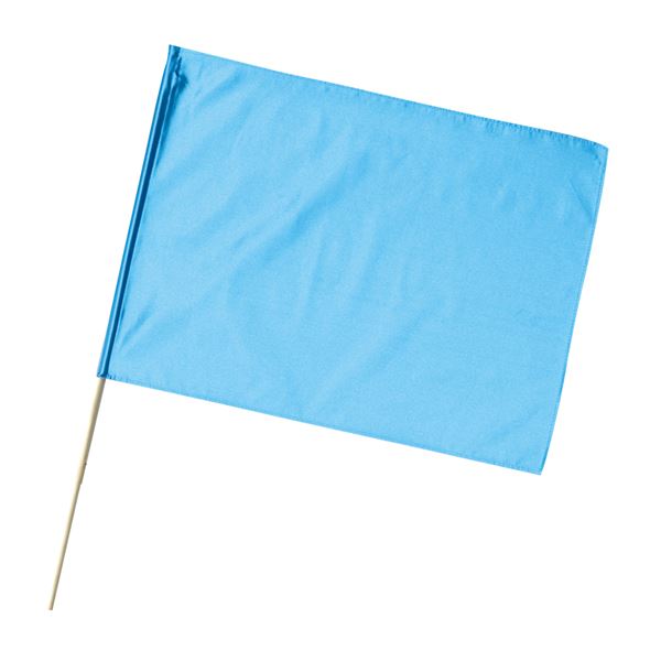 ʤޤȤ˥ƥ󾮴 ᥿å֥롼 ڡ10ĥåȡ  Ūʵĥ᥿å֥롼Υƥ󾮴å ڤ䤫ʷϵФѡƥ䥤٥...