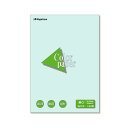 (まとめ) 長門屋商店 Color Paper B4 厚口 水 ナ-2310 1冊(100枚) 【×10セット】 美しさ溢れるカラーペーパー B4サイズの厚口で...