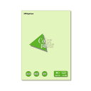 (まとめ) 長門屋商店 Color Paper B4 厚口 若草 ナ-2306 1冊(100枚) 【×10セット】 美しい自然の息吹を纏う、B4サイズの厚口カラ...