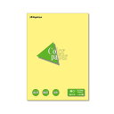 (まとめ) 長門屋商店 Color Paper B4 厚口 クリーム ナ-2303 1冊(100枚) 【×10セット】 使い勝手抜群のB4サイズのカラーペーパー...