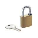 (まとめ) ESL-RPD対応 南京錠/ディンプルキー仕様 ESL-NKD 【×2セット】 複雑な構造で安心 安全 のセキュリティ ESL-RPD対応 南京錠/...