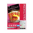 (まとめ) コクヨ インクジェットプリンター用 写真用紙 セミ光沢紙 B4 KJ-J14B4-30 1冊(30枚) 【×10セット】 鮮やかな色彩、美しい輝きの...