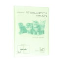 テージー マイホルダー サイド A4タテ 40ポケット 背幅15mm ライトグリーン MCS-344-15 1セット(10冊) 緑 透明な表紙でスタイリッシュな...