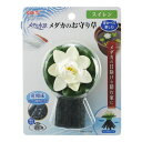 (まとめ) GEX メダカ水景 メダカのお守り草 スイレン 【×5セット】 (ペット用品) 水中で浮かびながら楽しむ メダカのお守り草とスイレンの水景セット【5...