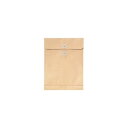 (まとめ)菅公工業 再生紙クラフト エコパッカー角2 120g/m2 ホ088 1パック(100枚)【×3セット】 便利なマチ付保存袋 書類整理や持ち運びに最適...