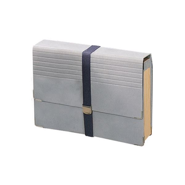 ライオン事務器 ドキュメントファイルA4 32ポケット DC-431N 1冊 スムーズな書類の検索と取り出し・収..