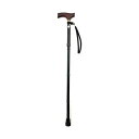 (まとめ)フジホーム ステッキ ベーシック折り畳みM ブラック WB3728 1本【×2セット】 黒 折りたたみ可能なステッキで、手頃な価格でおしゃれに歩ける ブラックカラーのベーシックなMサイズステッキ、2本セットでお得にGET 黒