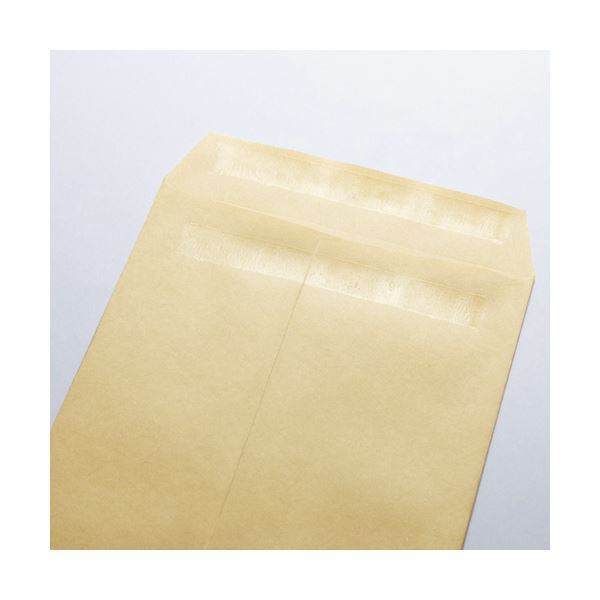 (まとめ) キングジム デラックス透明ポケット A3タテ 2・4穴 台紙あり 105D 1パック(10枚) 【×3セット】