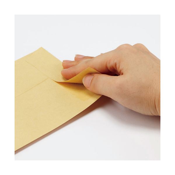 (まとめ) キングジム デラックス透明ポケット A3タテ 2・4穴 台紙あり 105D 1パック(10枚) 【×3セット】